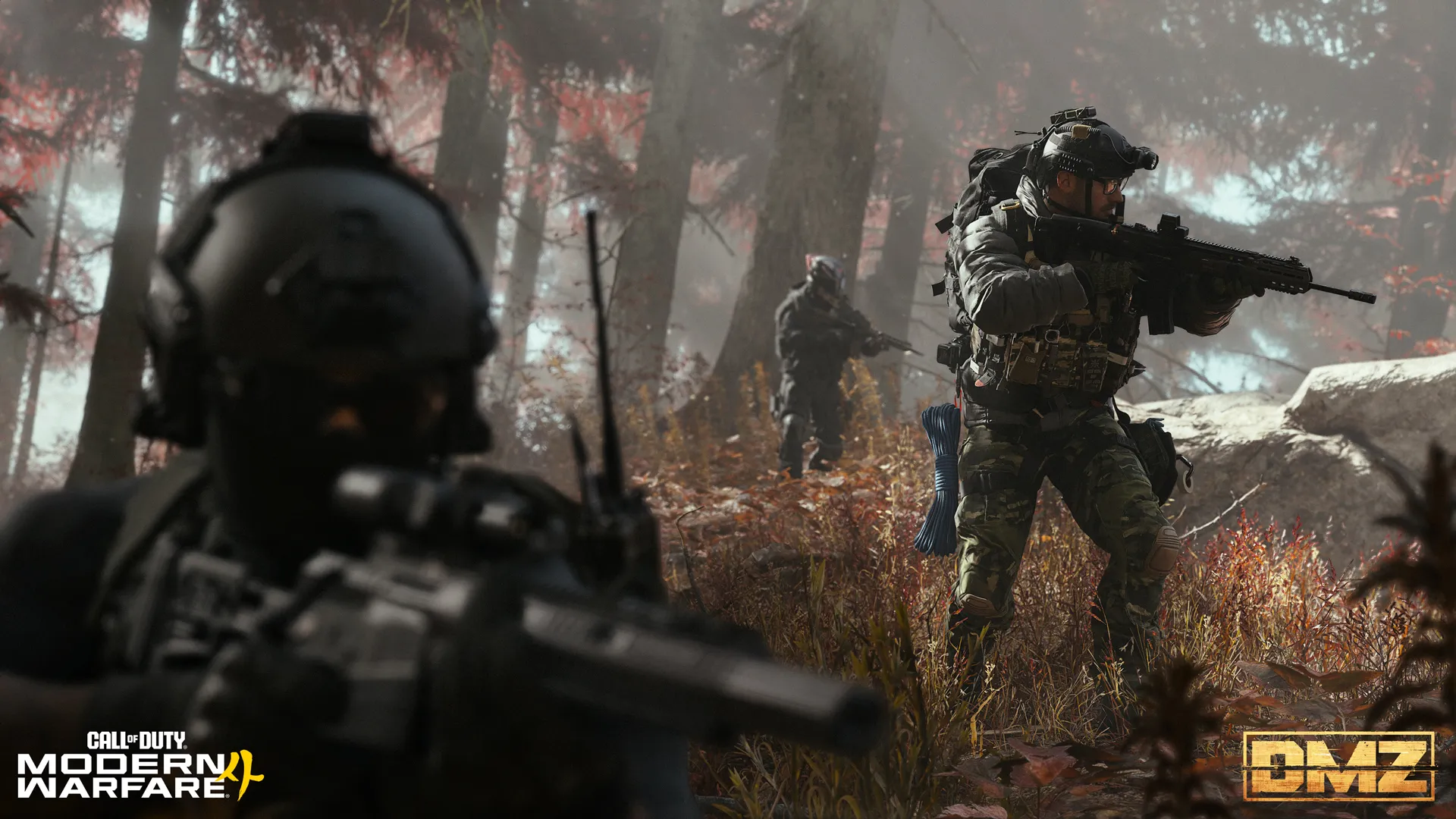 MW4 DMZ